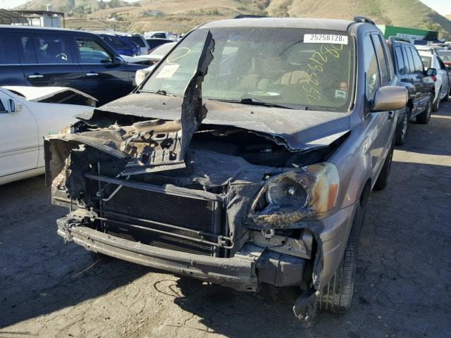 2HKYF184X3H553390 - 2003 HONDA PILOT EX GOLD photo 2