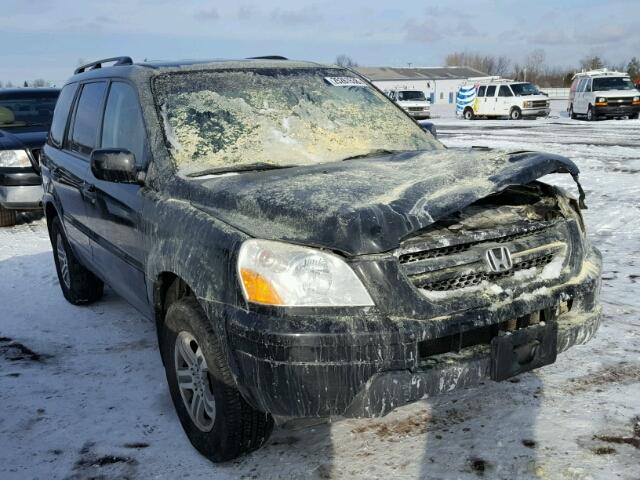 5FNYF18644B008187 - 2004 HONDA PILOT EXL BLACK photo 1