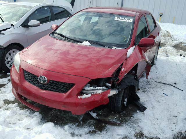 1NXBU4EE3AZ206332 - 2010 TOYOTA COROLLA BA RED photo 2