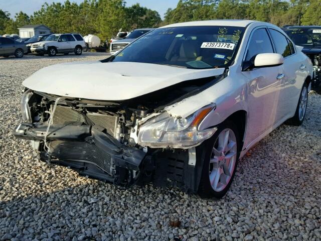 1N4AA5APXEC451099 - 2014 NISSAN MAXIMA S WHITE photo 2