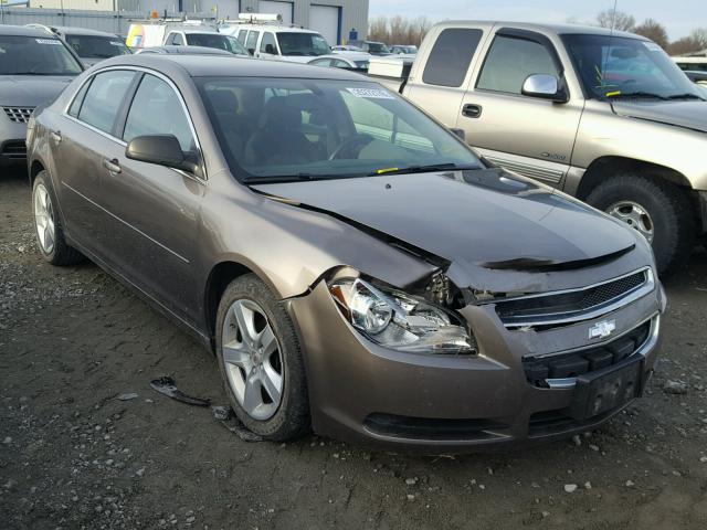 1G1ZB5EB8AF316696 - 2010 CHEVROLET MALIBU LS თაფლისფერი ფოტო 1
