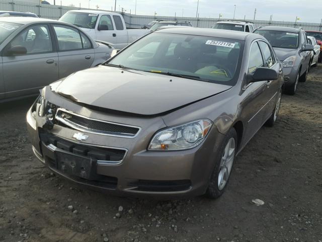 1G1ZB5EB8AF316696 - 2010 CHEVROLET MALIBU LS თაფლისფერი ფოტო 2