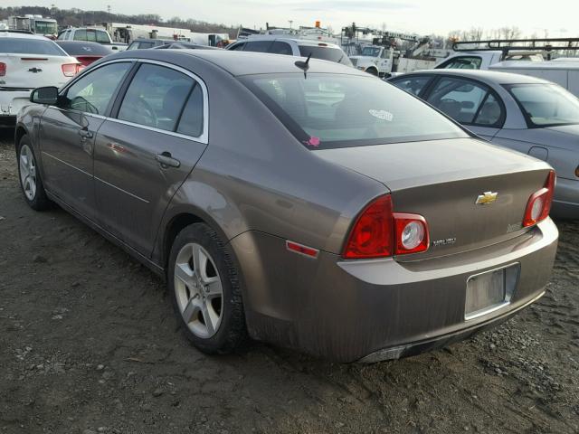 1G1ZB5EB8AF316696 - 2010 CHEVROLET MALIBU LS თაფლისფერი ფოტო 3