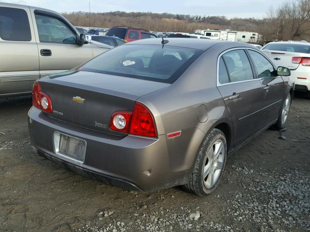 1G1ZB5EB8AF316696 - 2010 CHEVROLET MALIBU LS თაფლისფერი ფოტო 4