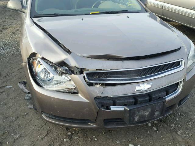 1G1ZB5EB8AF316696 - 2010 CHEVROLET MALIBU LS თაფლისფერი ფოტო 9