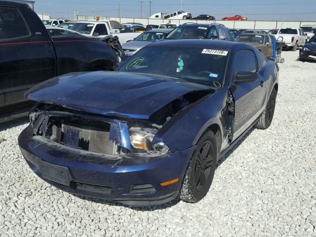 1ZVBP8AM5C5251122 - 2012 FORD MUSTANG BLUE photo 2