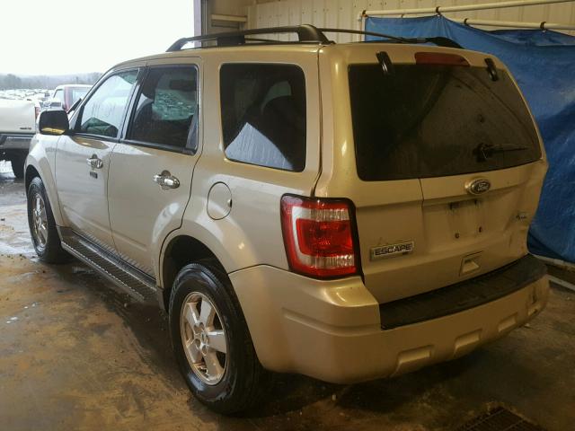 1FMCU0DG8AKA09216 - 2010 FORD ESCAPE XLT GOLD photo 3