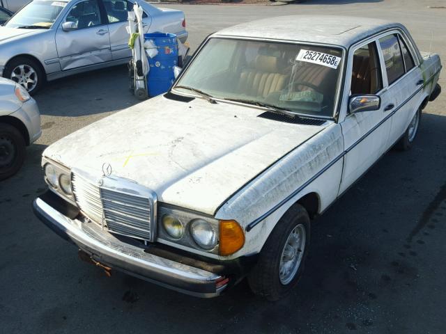 WDBAB23A1BB273372 - 1981 MERCEDES-BENZ 240 D WHITE photo 2