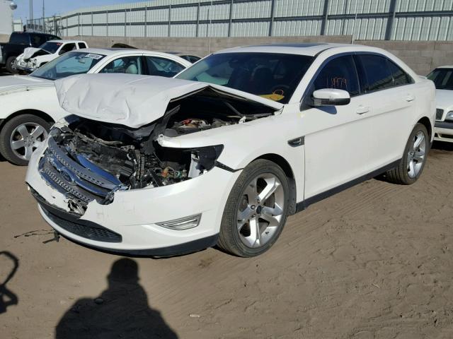 1FAHP2KT8BG125846 - 2011 FORD TAURUS SHO WHITE photo 2