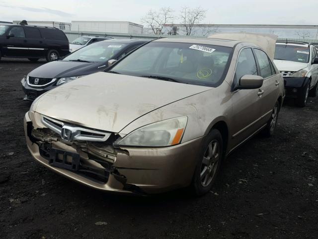 1HGCM66875A018015 - 2005 HONDA ACCORD EX GOLD photo 2