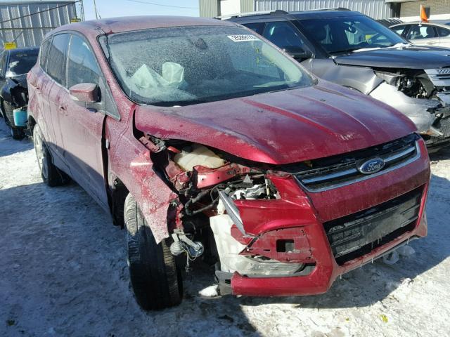 1FMCU9H93DUA81028 - 2013 FORD ESCAPE SEL MAROON photo 1