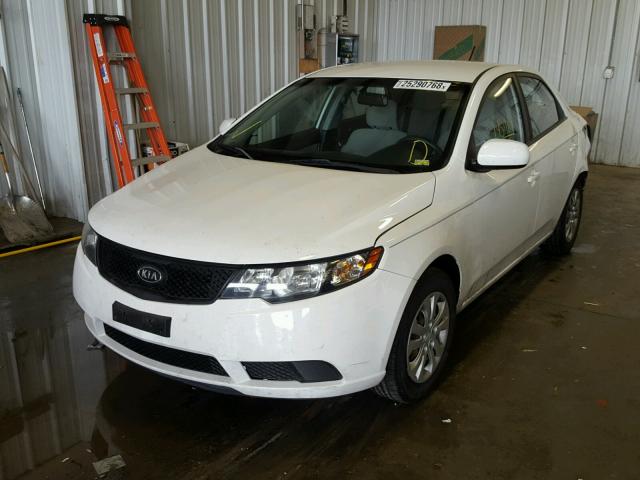 KNAFT4A28A5061090 - 2010 KIA FORTE LX WHITE photo 2