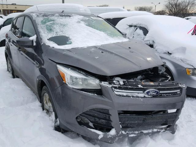 1FMCU0GX7EUA74712 - 2014 FORD ESCAPE SE GRAY photo 1