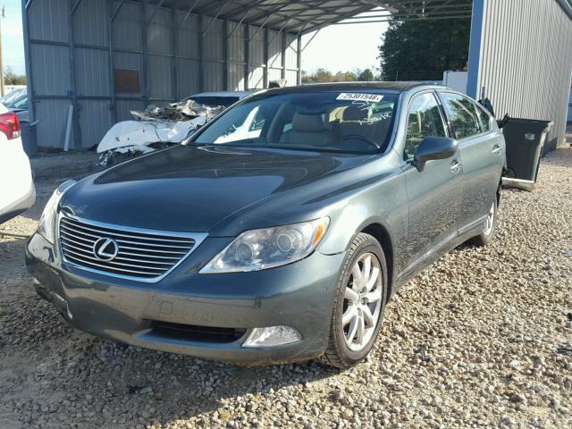 JTHBL46F675039769 - 2007 LEXUS LS 460 GREEN photo 2