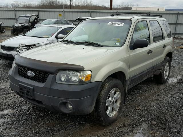 1FMCU93135DA25464 - 2005 FORD ESCAPE XLT TAN photo 2