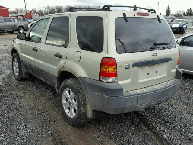 1FMCU93135DA25464 - 2005 FORD ESCAPE XLT TAN photo 3