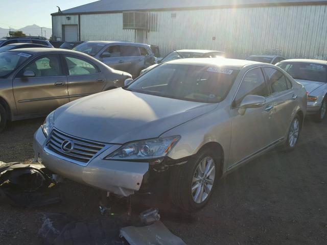 JTHBK1EG7A2353628 - 2010 LEXUS ES 350 GOLD photo 2