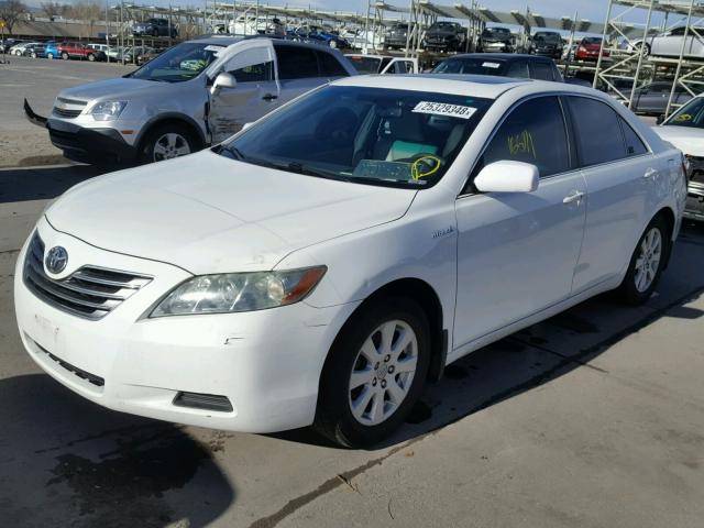 4T1BB46K28U053561 - 2008 TOYOTA CAMRY HYBR WHITE photo 2