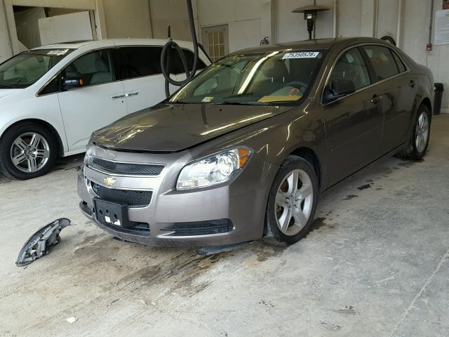 1G1ZB5EB0AF317454 - 2010 CHEVROLET MALIBU LS ყავისფერი ფოტო 2