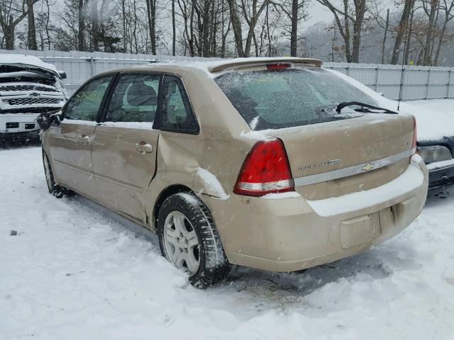 1G1ZU64835F204402 - 2005 CHEVROLET MALIBU MAX 金色 照片 3