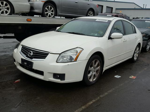 1N4BA41E27C839346 - 2007 NISSAN MAXIMA SE WHITE photo 2