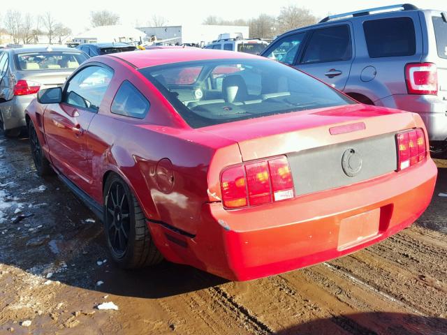 1ZVFT80N655202215 - 2005 FORD MUSTANG RED photo 3