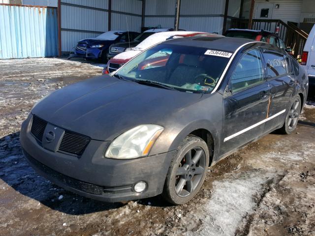 1N4BA41E06C844950 - 2006 NISSAN MAXIMA SE BLACK photo 2