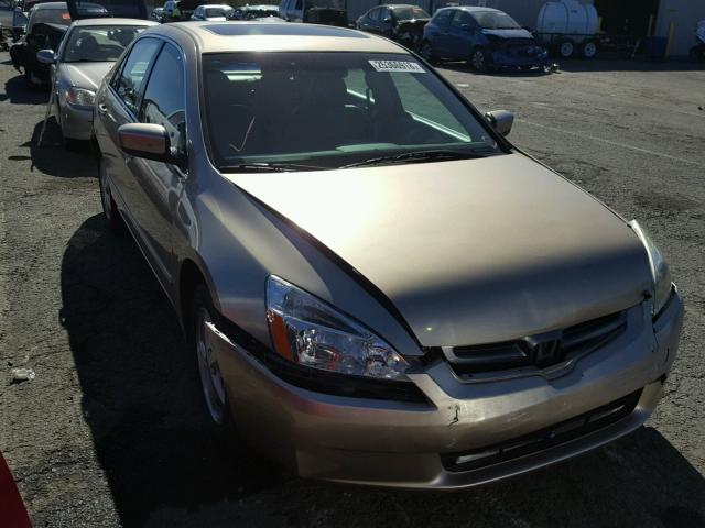 1HGCM56875A081190 - 2005 HONDA ACCORD EX GOLD photo 1