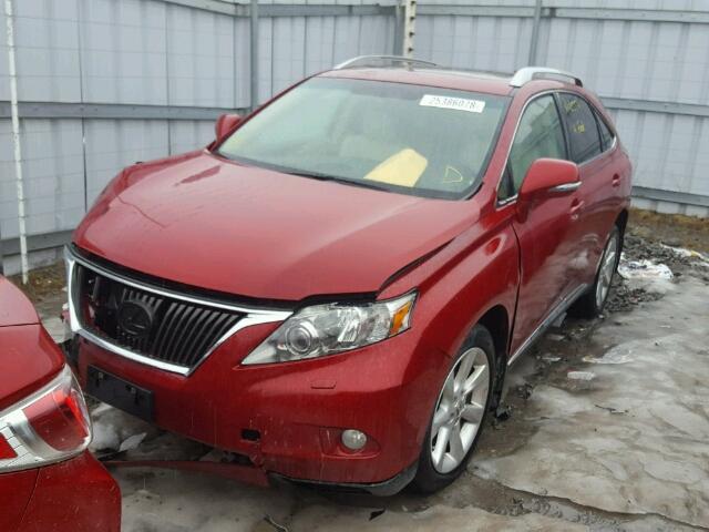 2T2BK1BA7BC107064 - 2011 LEXUS RX 350 RED photo 2