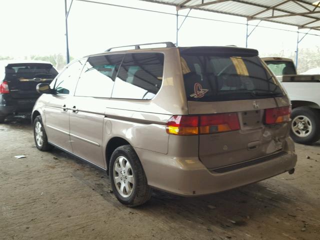 5FNRL18693B155617 - 2003 HONDA ODYSSEY EX TAN photo 3