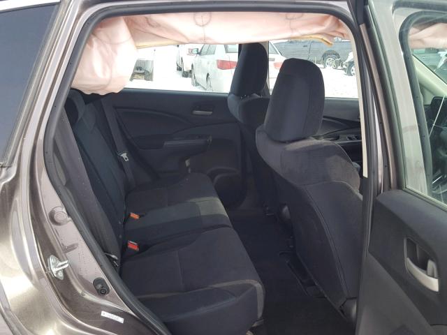 5J6RM4H38EL095389 - 2014 HONDA CR-V LX TAN photo 6