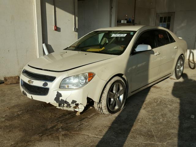 1G1ZC5E13BF231769 - 2011 CHEVROLET MALIBU 1LT CREAM photo 2