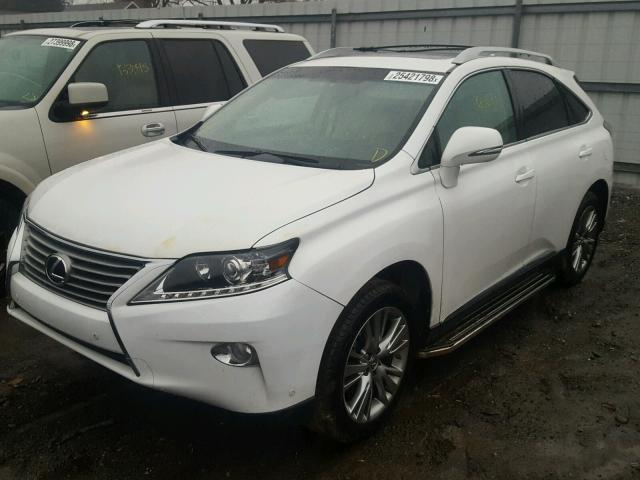 2T2ZK1BA4EC147265 - 2014 LEXUS RX 350 WHITE photo 2