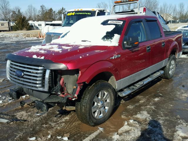 1FTPW14V09FB27012 - 2009 FORD F150 SUPER RED photo 2