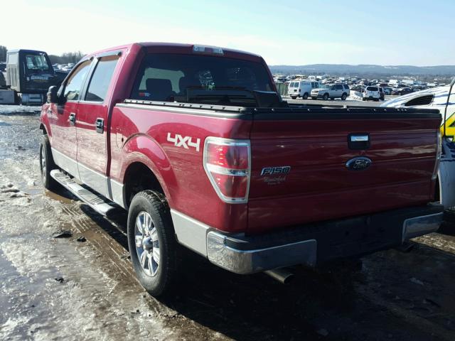 1FTPW14V09FB27012 - 2009 FORD F150 SUPER RED photo 3