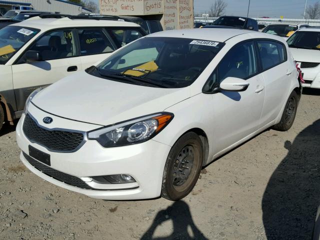 KNAFK5A82G5604763 - 2016 KIA FORTE LX WHITE photo 2