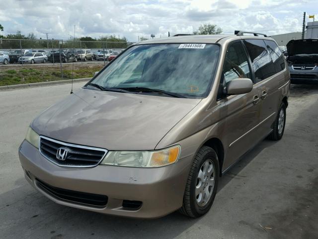 5FNRL18004B058318 - 2004 HONDA ODYSSEY EX GOLD photo 2