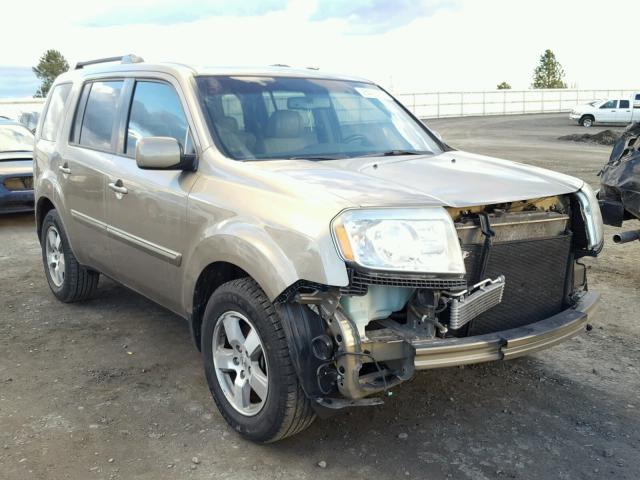 5FNYF3H56BB004206 - 2011 HONDA PILOT EXL GOLD photo 1