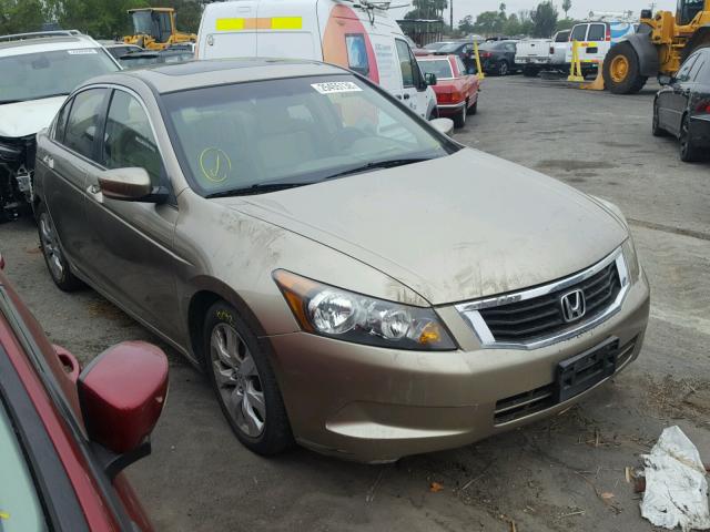 JHMCP26899C010876 - 2009 HONDA ACCORD EXL BEIGE photo 1