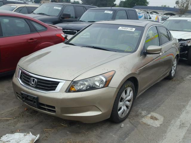 JHMCP26899C010876 - 2009 HONDA ACCORD EXL BEIGE photo 2