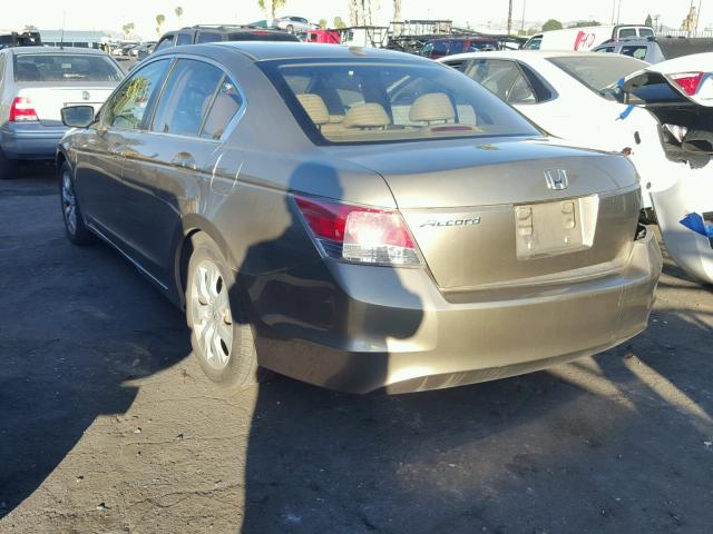 JHMCP26899C010876 - 2009 HONDA ACCORD EXL BEIGE photo 3