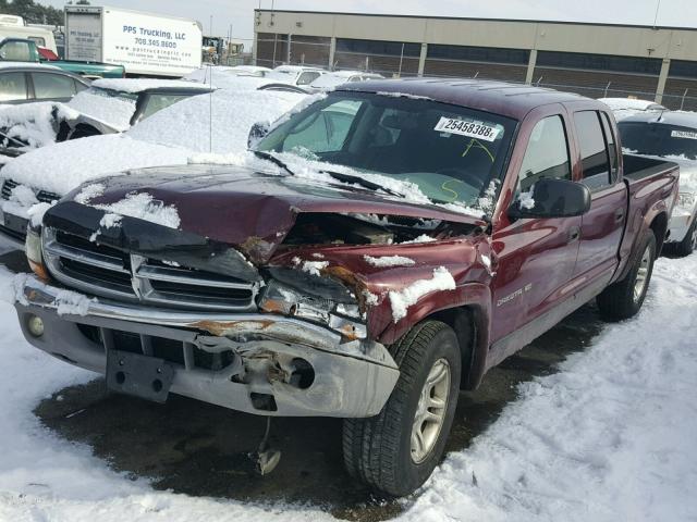 1B7HL48N02S724747 - 2002 DODGE DAKOTA QUA MAROON photo 2