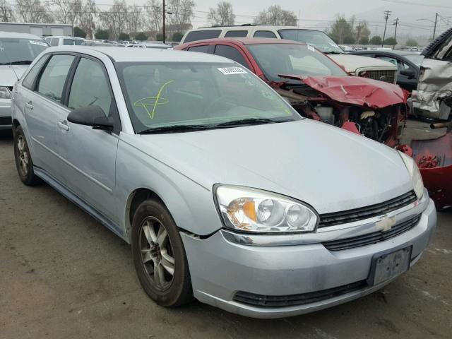 1G1ZT62885F134319 - 2005 CHEVROLET MALIBU MAX SILVER photo 1