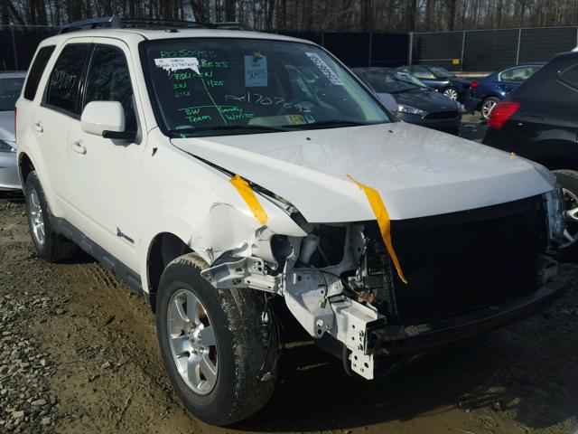 1FMCU5K31BKC60433 - 2011 FORD ESCAPE HYB WHITE photo 1