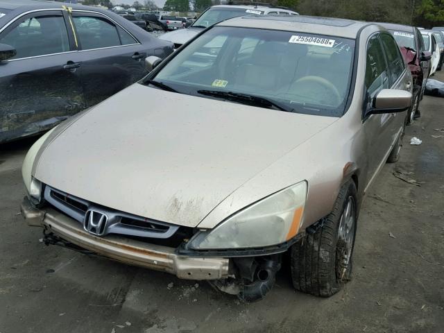 1HGCM66553A079110 - 2003 HONDA ACCORD EX GOLD photo 2