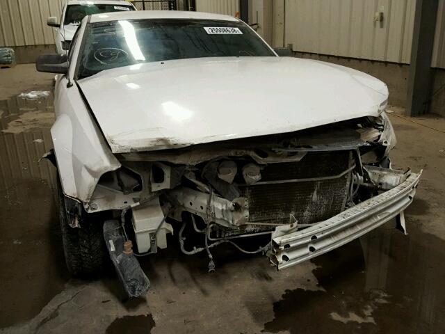 1ZVFT80NX65160231 - 2006 FORD MUSTANG WHITE photo 9