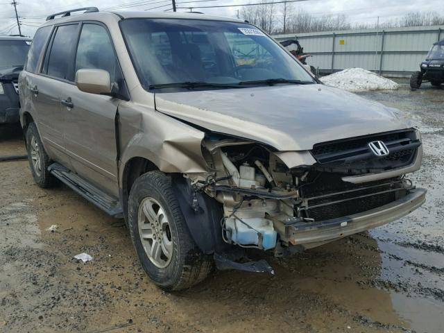 2HKYF18413H580073 - 2003 HONDA PILOT EX TAN photo 1