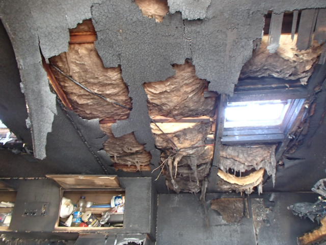 1K322AK15BB235081 - 1981 UTILIMASTER ALL MODELS Белый фото 6