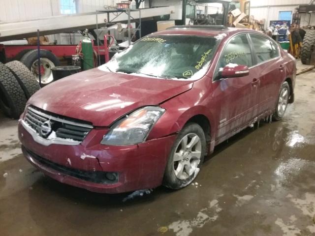 1N4CL21E38C121213 - 2008 NISSAN ALTIMA HYB RED photo 2