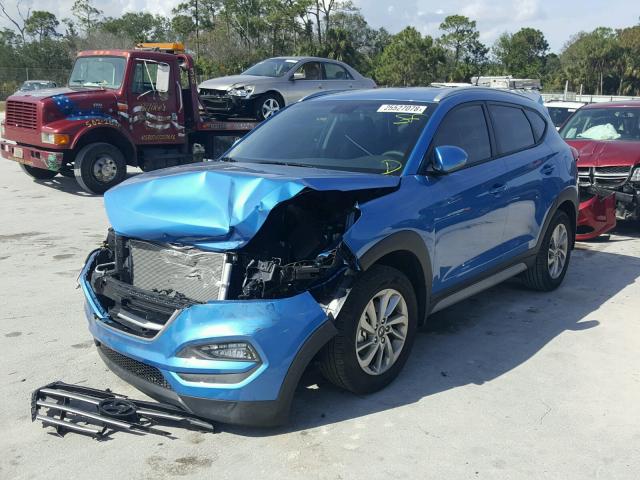 KM8J33A42HU447959 - 2017 HYUNDAI TUCSON LIM BLUE photo 2